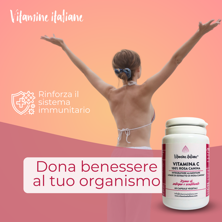 Vitamina C. Rosa Canina 100%