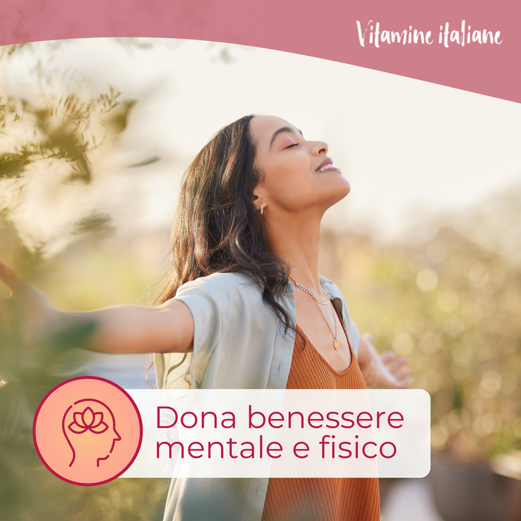 Vitamina C. Rosa Canina 100%